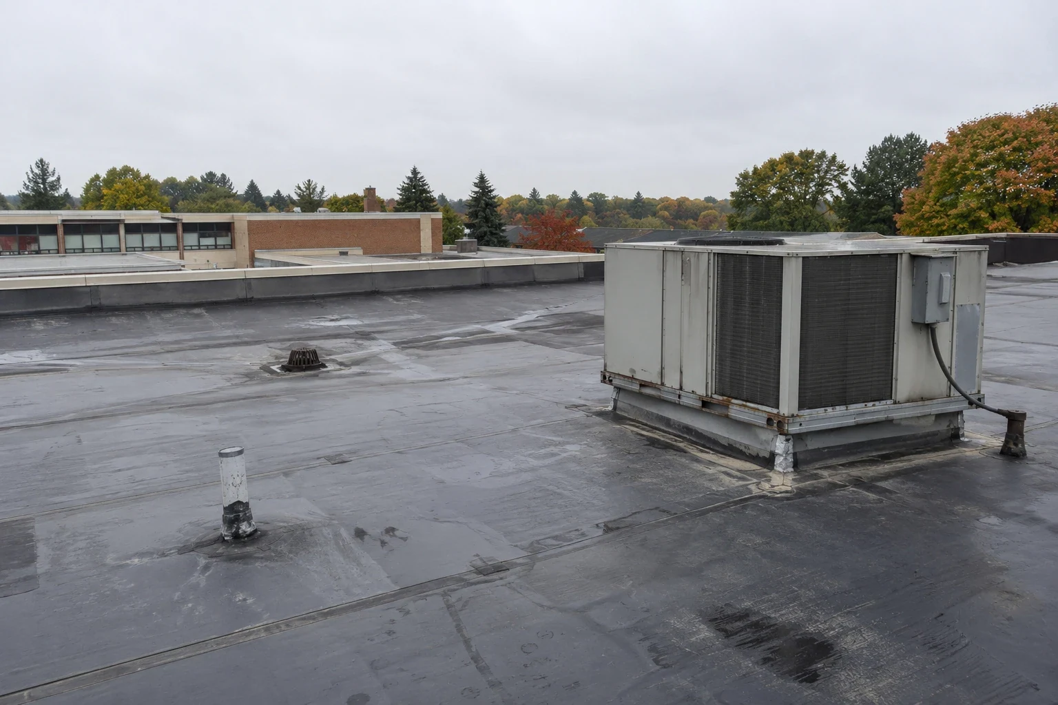 School Roofing in Centennial, CO