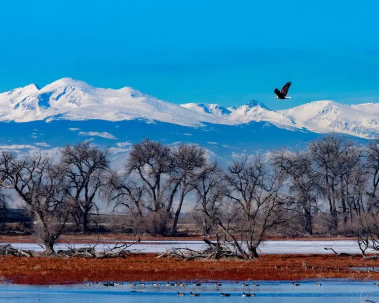 Commercial Roofing in Elizabeth, CO